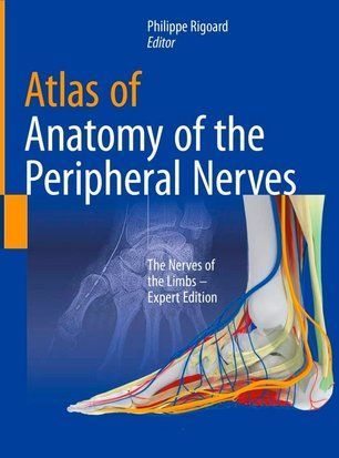 Atlas of Anatomy of the peripheral nerves. The Nerves of the Limbs 19164dg фото
